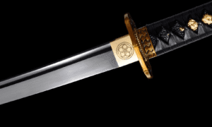 Akikaze Wakizashi (赤風) – Copper Wind