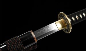 Night Dragon Katana Sword