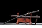 Seimei No Inazuma Katana Sword (生命の稲妻) – Lightning Of Life