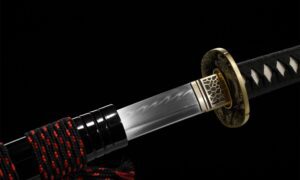 Tenshin Katana Sword (天心) – Heavenly Heart